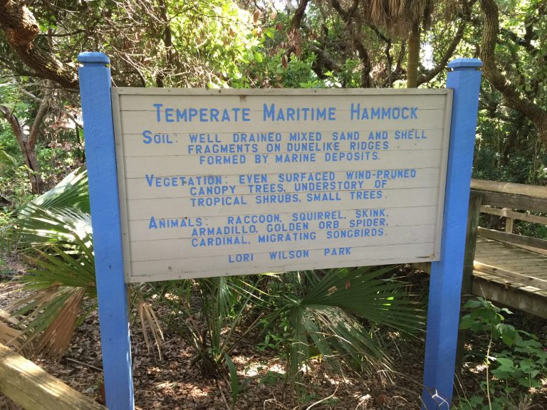 Temperate Maritime Hammock sign at Lori Wilson Park, Cocoa Beach