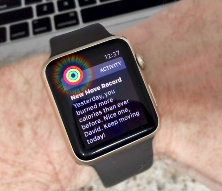 Go Confidently in the Direction of Your Dreams…