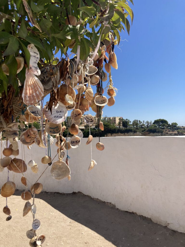 “Un troppo caro per il area, ma le viste e bellissima!”