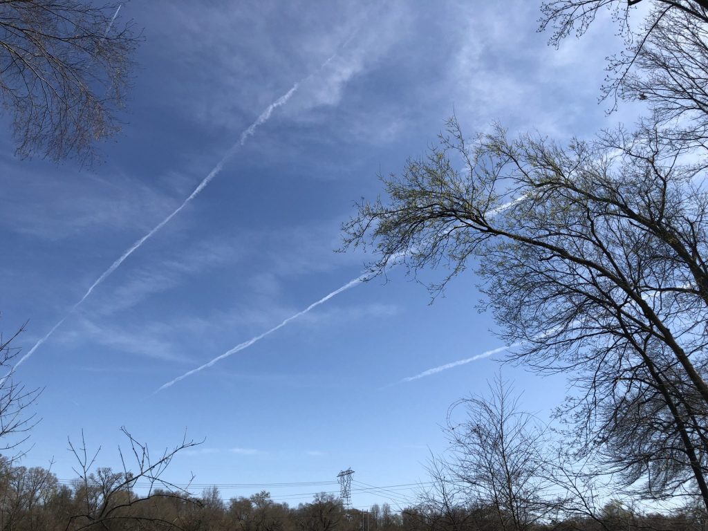 Two jet contrails carve an X across the sky above the Carolina Thread Trail, where bare branches reach upward in late winter quiet.