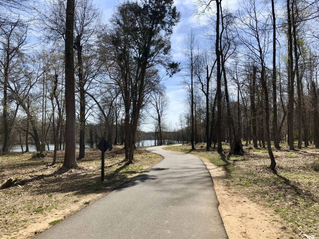 A peaceful paved pathway threads between tall bare trees with the Catawba River shimmering beyond, capturing the natural beauty of Rock Hill's Riverwalk.