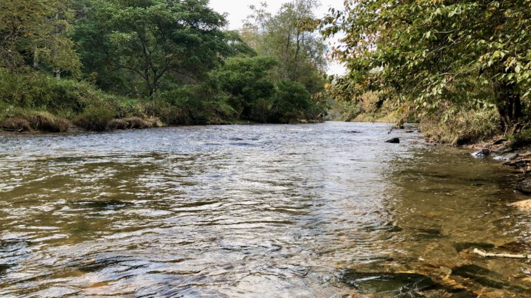 The Mountain Stream’s Whisper