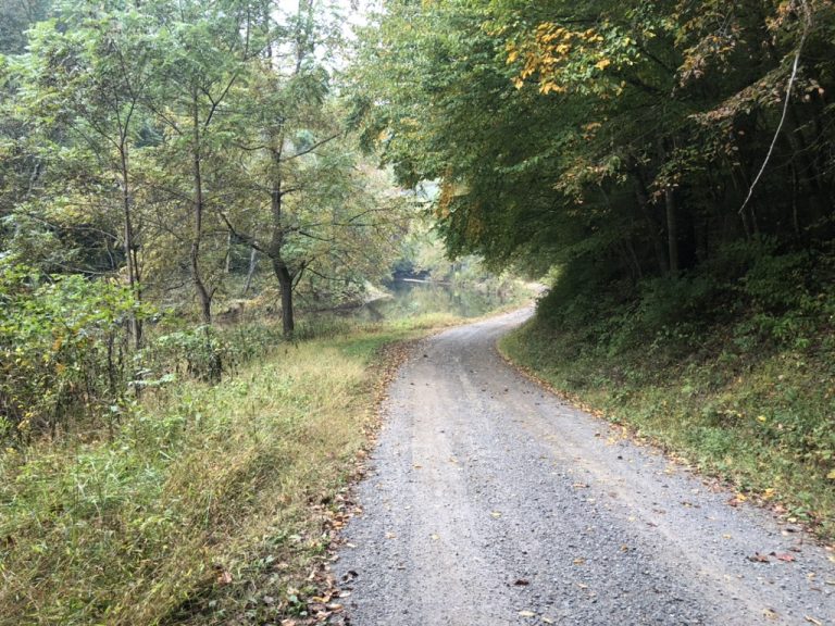 A gravel road winding through the mountain woods — West Virginia, October 3, 2021.