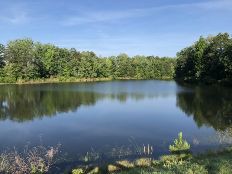 Morning calm at the lake — Charlotte, NC, May 18, 2020.