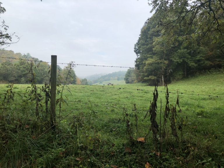 Across the fence into a misty valley — West Virginia, October 3, 2021.