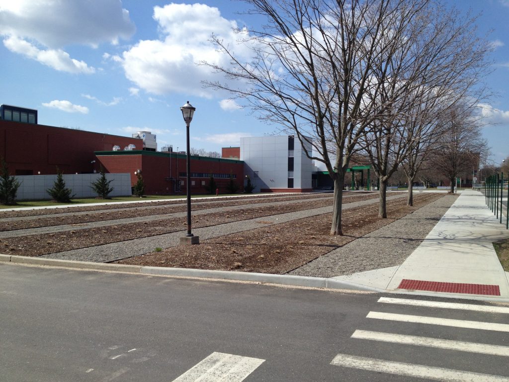A walkway lined with bare trees and a black lamppost separating two academic buildings on the SUNY Farmingdale campus.