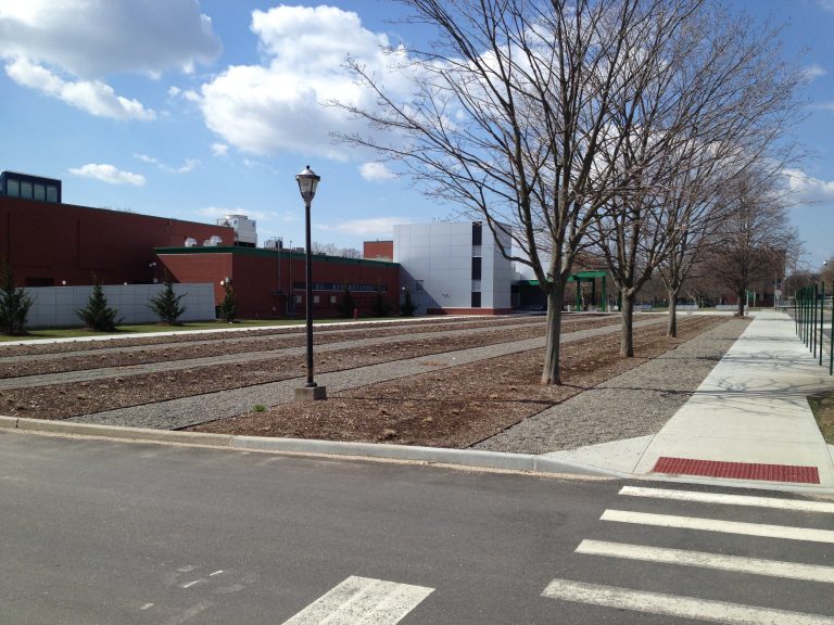 Early spring on the walk between buildings at SUNY Farmingdale.