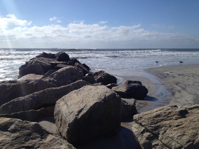 Shorebirds beside a stone jetty at Long Beach, Long Island.