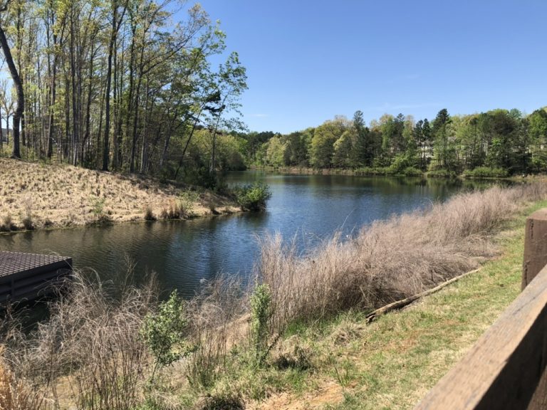 A quiet pond on a lockdown afternoon — Charlotte, NC, April 4, 2020.