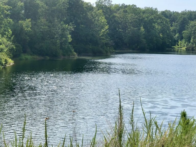 Late-summer light on the lake — Charlotte, NC, August 1, 2020.