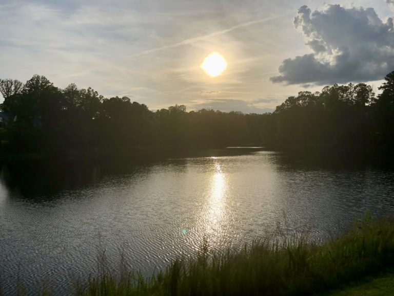 The sun drops behind the trees and lights a path across Lake Wylie.