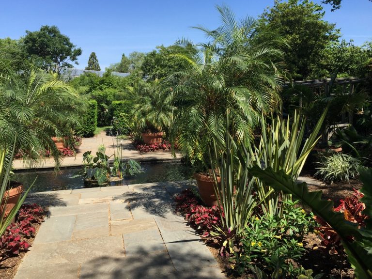 Stone walkway along the tropical garden canal, Farmingdale Teaching Gardens