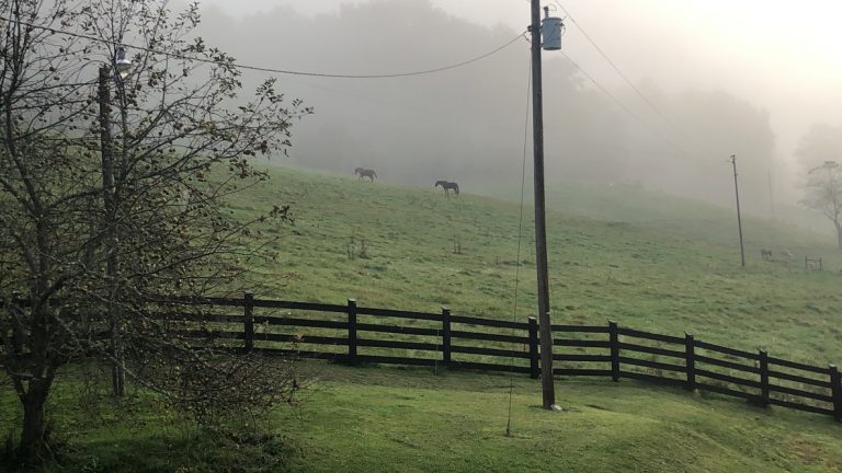 Foggy morning pasture with horses — West Virginia, October 3, 2021.