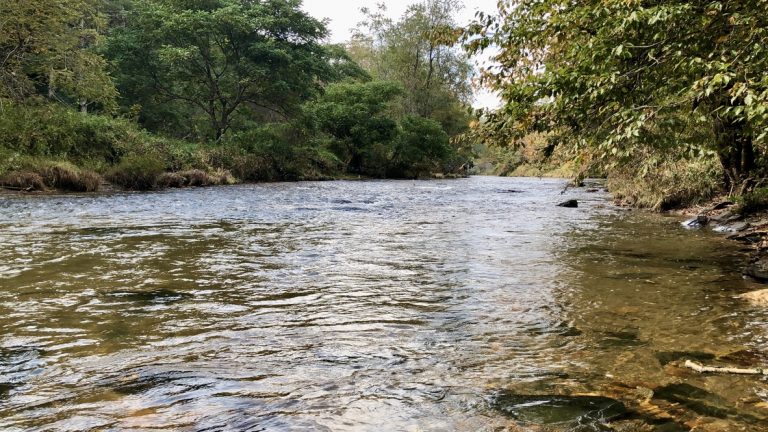 A mountain stream running through the West Virginia woods — October 2, 2021.