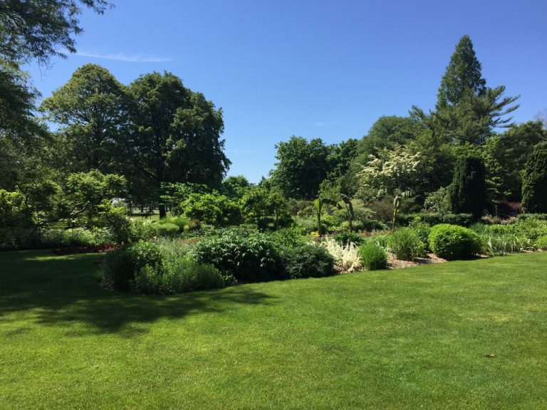 Open lawn with mixed perennial border in summer, Farmingdale Teaching Gardens
