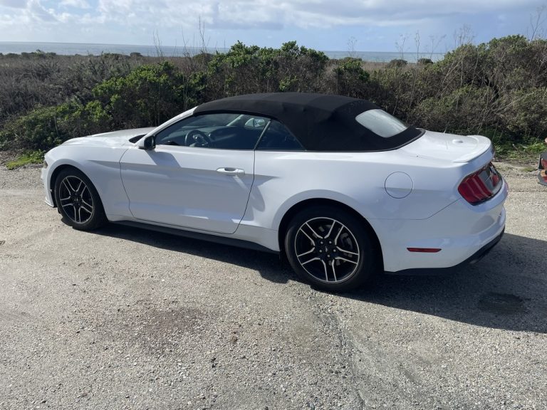 Our convertible at the Shark Fin Cove pullout
