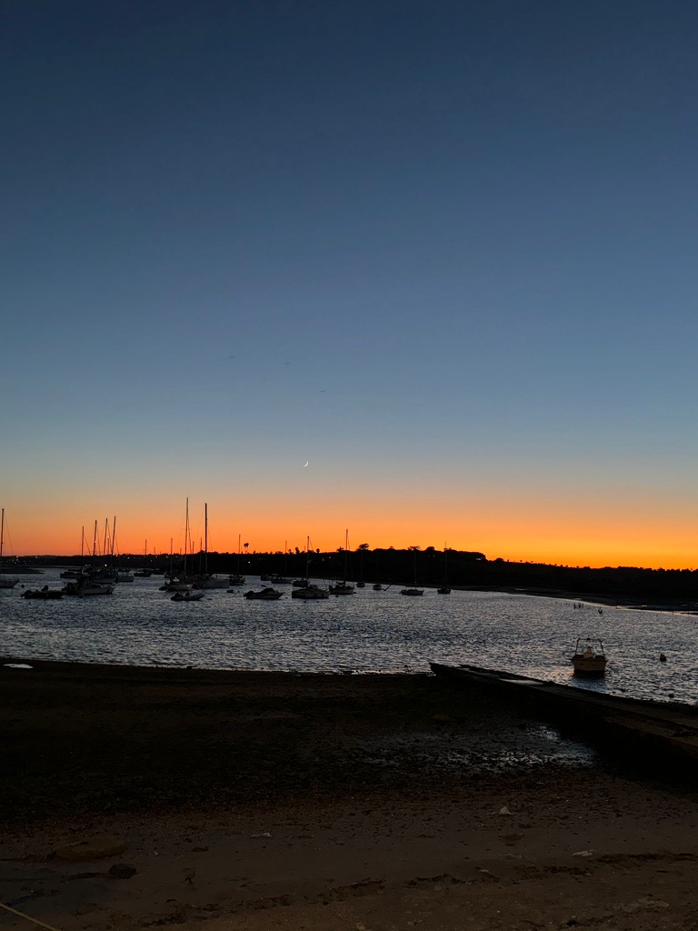 Masts against a fading sky
