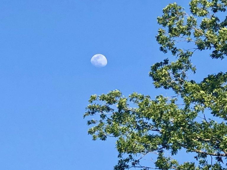 A daytime Moon over Charlotte — May 3, 2020.