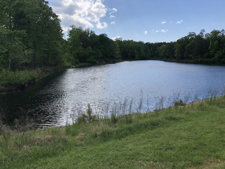 Cumulus clouds over a quiet lake — Charlotte, NC, April 21, 2020.