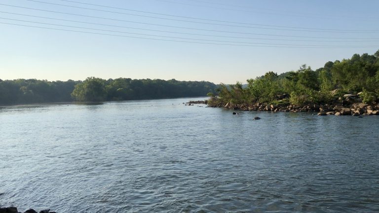 The Catawba River widens below the Lake Wylie Dam.
