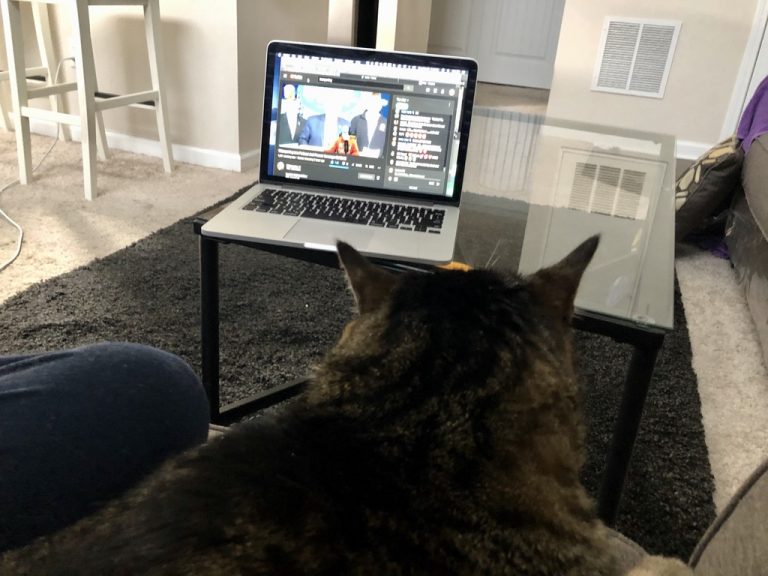 Pandemic days at home — just me, the cat, and the internet. 2020.