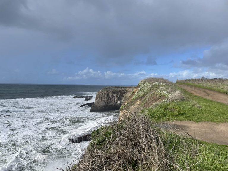 The coast trail above Shark Fin Cove