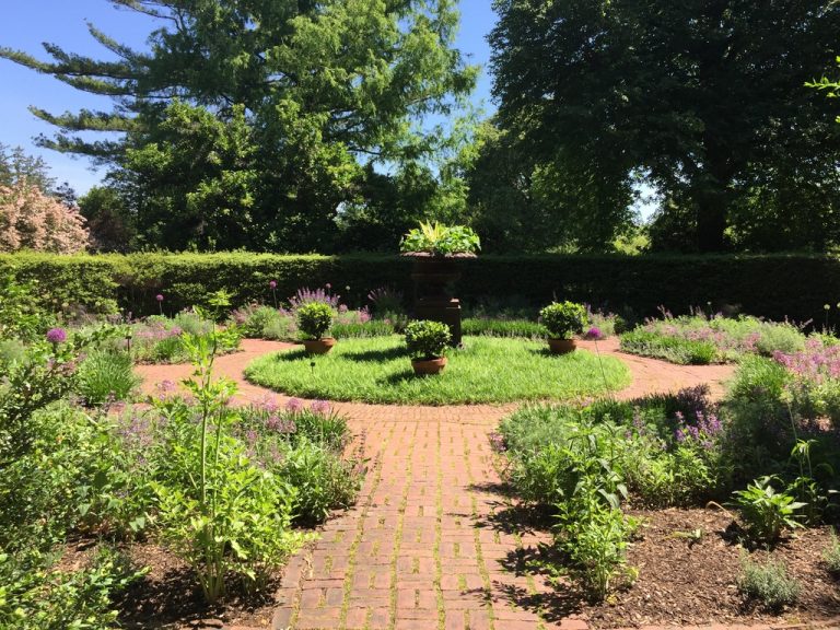 Brick path and topiary in the circle garden, Farmingdale Teaching Gardens