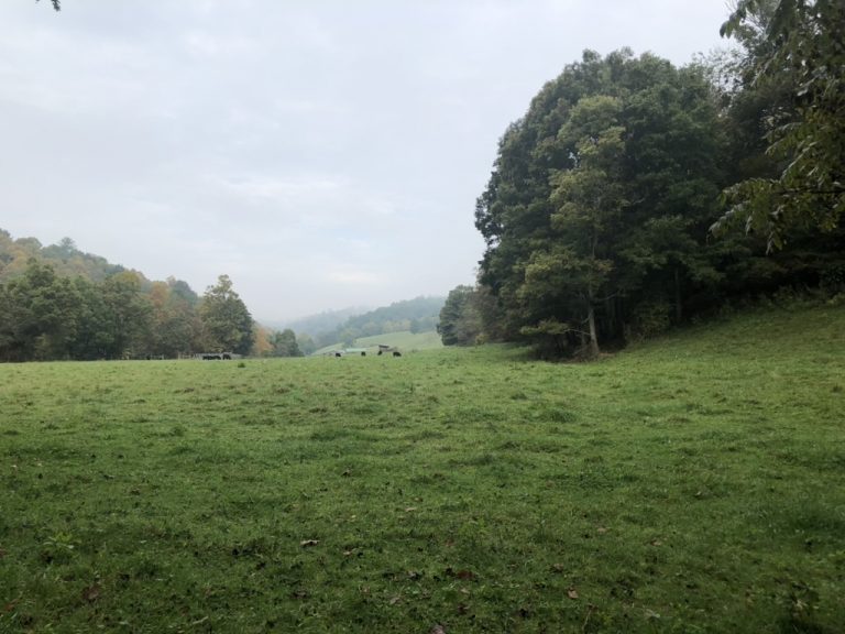 A wide mountain pasture under a hazy morning sky — West Virginia, October 3, 2021.