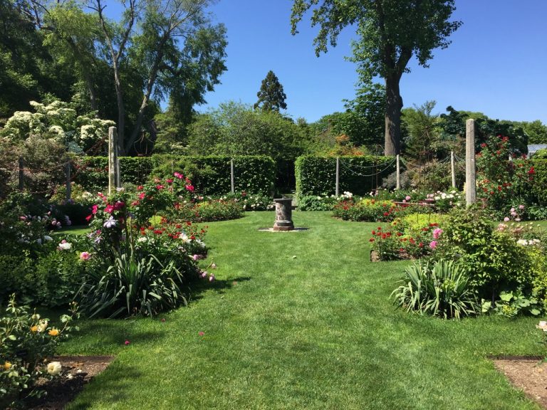 Mixed rose borders with sundial, Farmingdale Teaching Gardens
