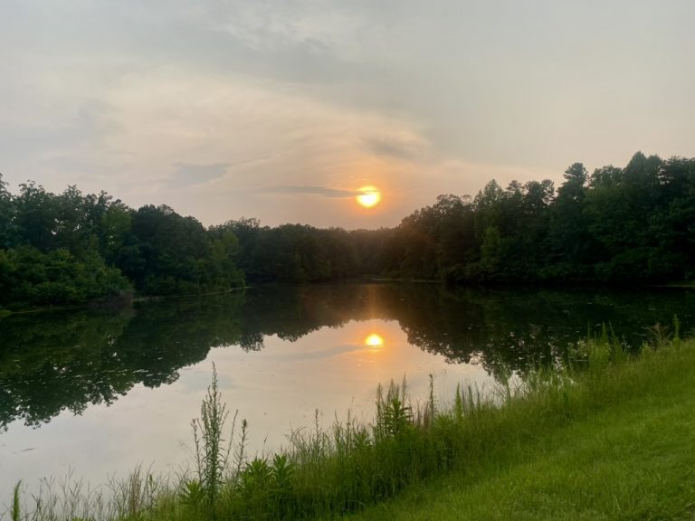 A summer evening at the lake outside Charlotte — the hazy July sky turns gold as the sun slips below the tree line.