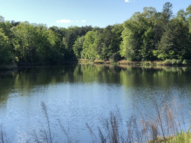 A glassy stretch of Lake Wylie mirrors the wooded shoreline.