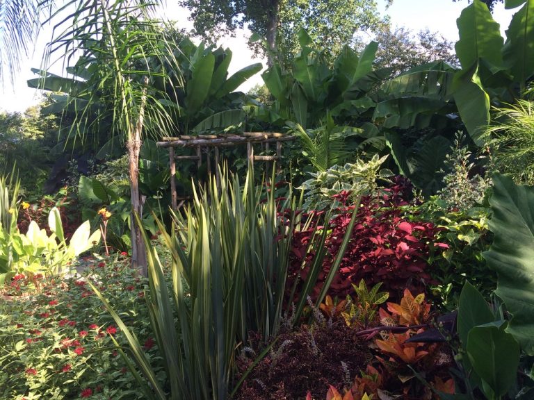 Rustic bamboo trellis in the tropical garden border, Farmingdale Teaching Gardens