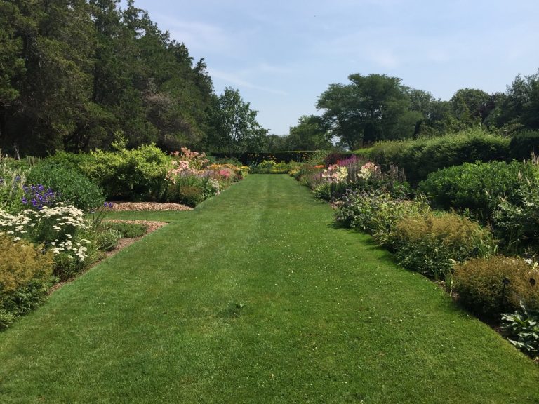Double perennial border in full summer bloom, Farmingdale Teaching Gardens