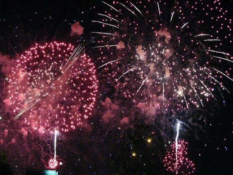 Multiple red and pink fireworks burst simultaneously over the Hudson River, filling the frame with color during the Macy's 4th of July Fireworks show, New York City, 2009.