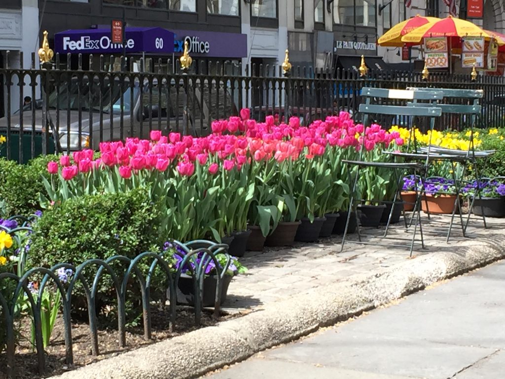 NYC in the Spring
