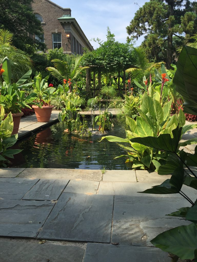 Fountain jet in the tropical garden canal, Farmingdale Teaching Gardens