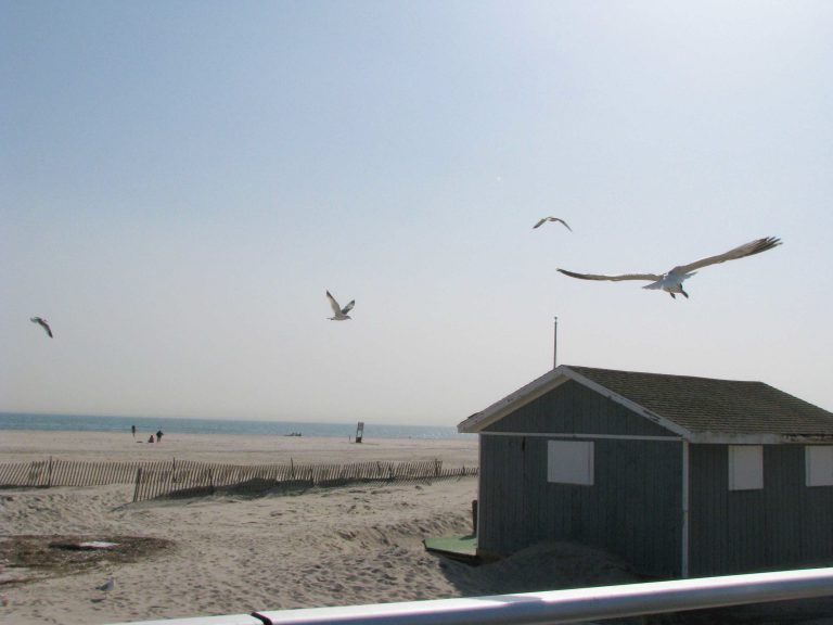 A gull soars above the lifeguard shack at Jones Beach.