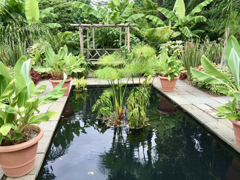 The formal reflecting pool, Farmingdale Teaching Gardens