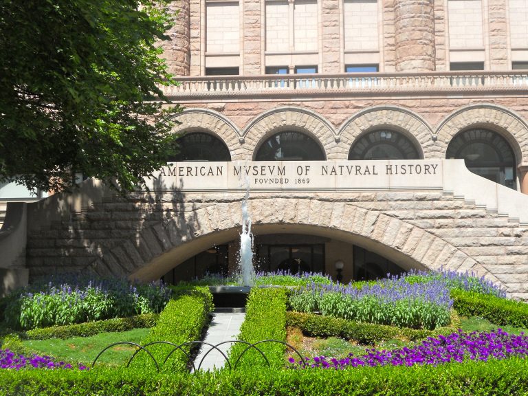 The grand facade of the American Museum of Natural History on Central Park West, inscribed with its name and founding year of 1869, framed by colorful gardens.