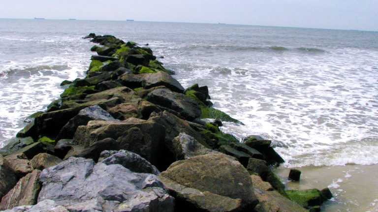 Green moss covers the jetty stones at Long Beach.