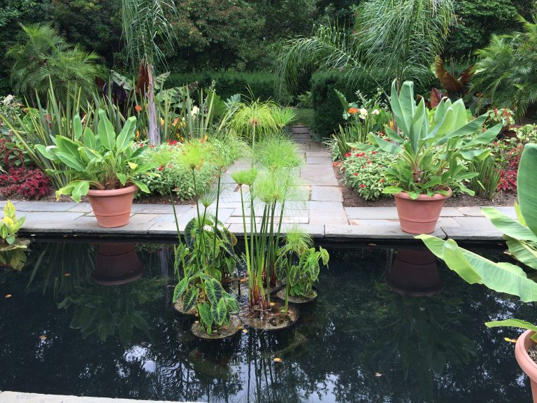Looking down the reflecting pool