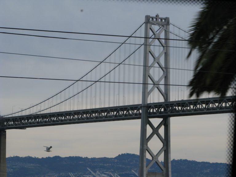 San Francisco, 2008