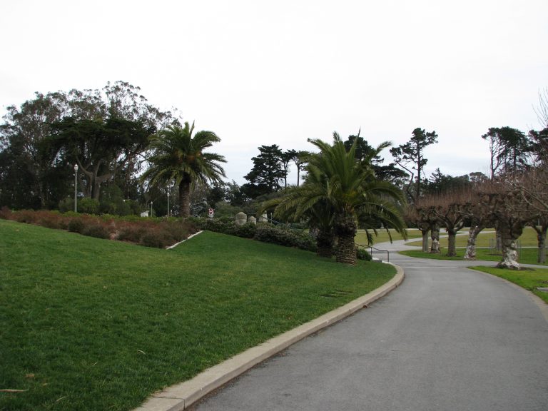 San Francisco, 2008
