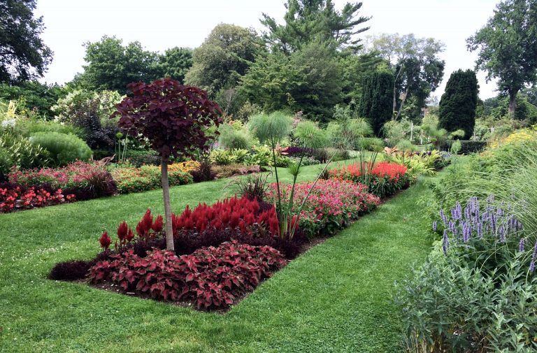 The annual and perennial borders, Farmingdale Teaching Gardens