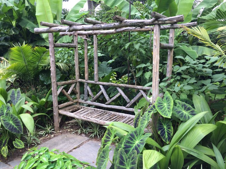 A garden seat in the tropical section
